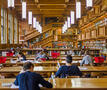 Bibliotheek universiteit